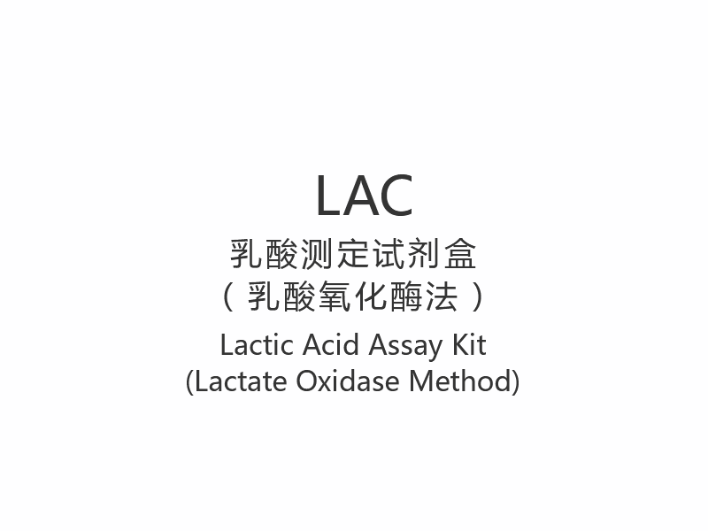 【LACLactic Acidum Assay Kit (Lactatum Oxidase Methodo)