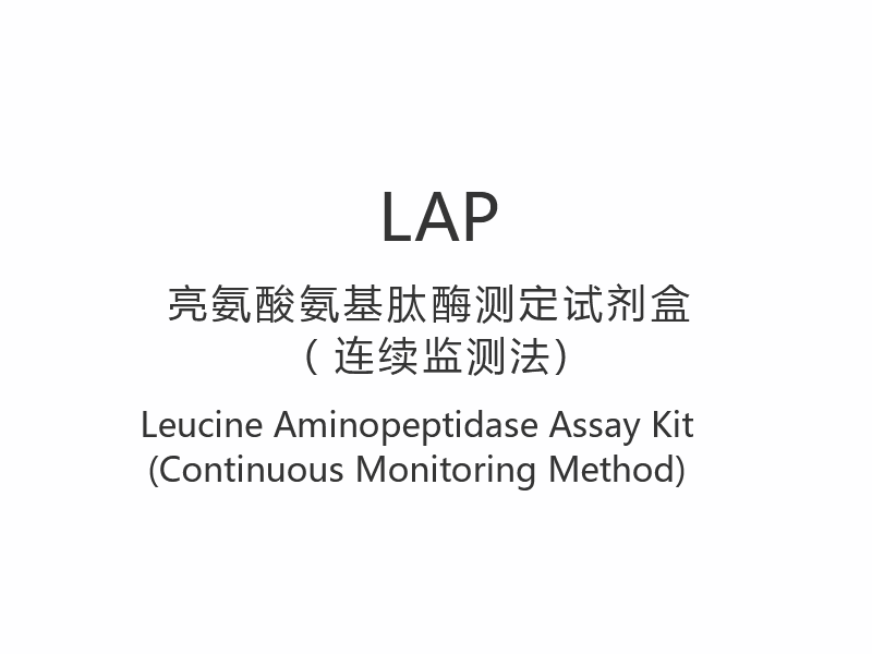 LAP】Leucine Aminopeptidase Asssay Ornamentum (Continuus Monitoring Methodus)