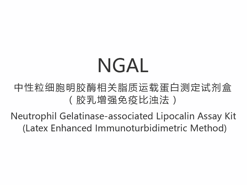 【NGAL】Neutrophil Gelatinase-consociata Lipocalin Asssay Kit (Latex Consectetur Immunoturbidimetric Methodus)