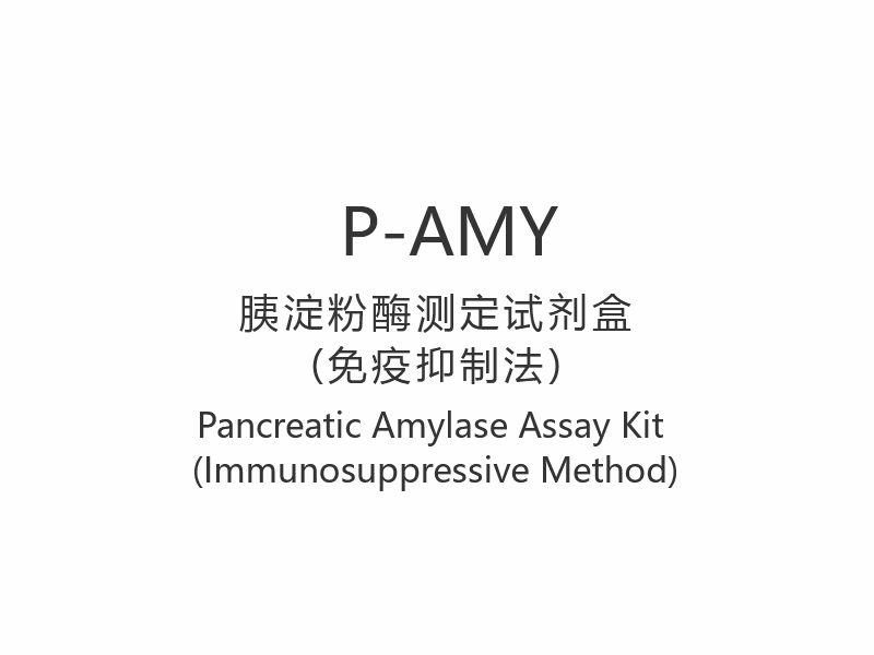 P-AMYPancreatic Lumbricus Ornamentum (Immunosuppressive Methodus)