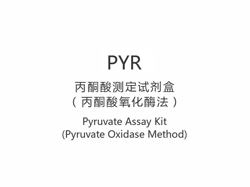 【PYRPyruvate Asssay Kit (Pyruvate Oxidase Methodo)